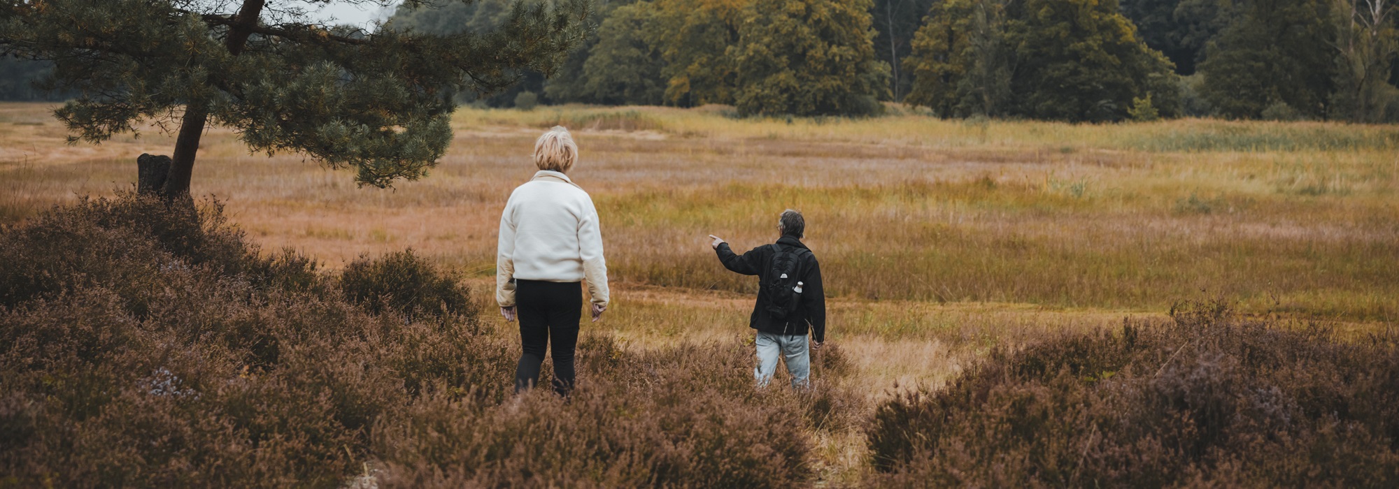 Twee wandelaars lopen door een open heidelandschap met gras en struiken, omringd door bomen in de verte.