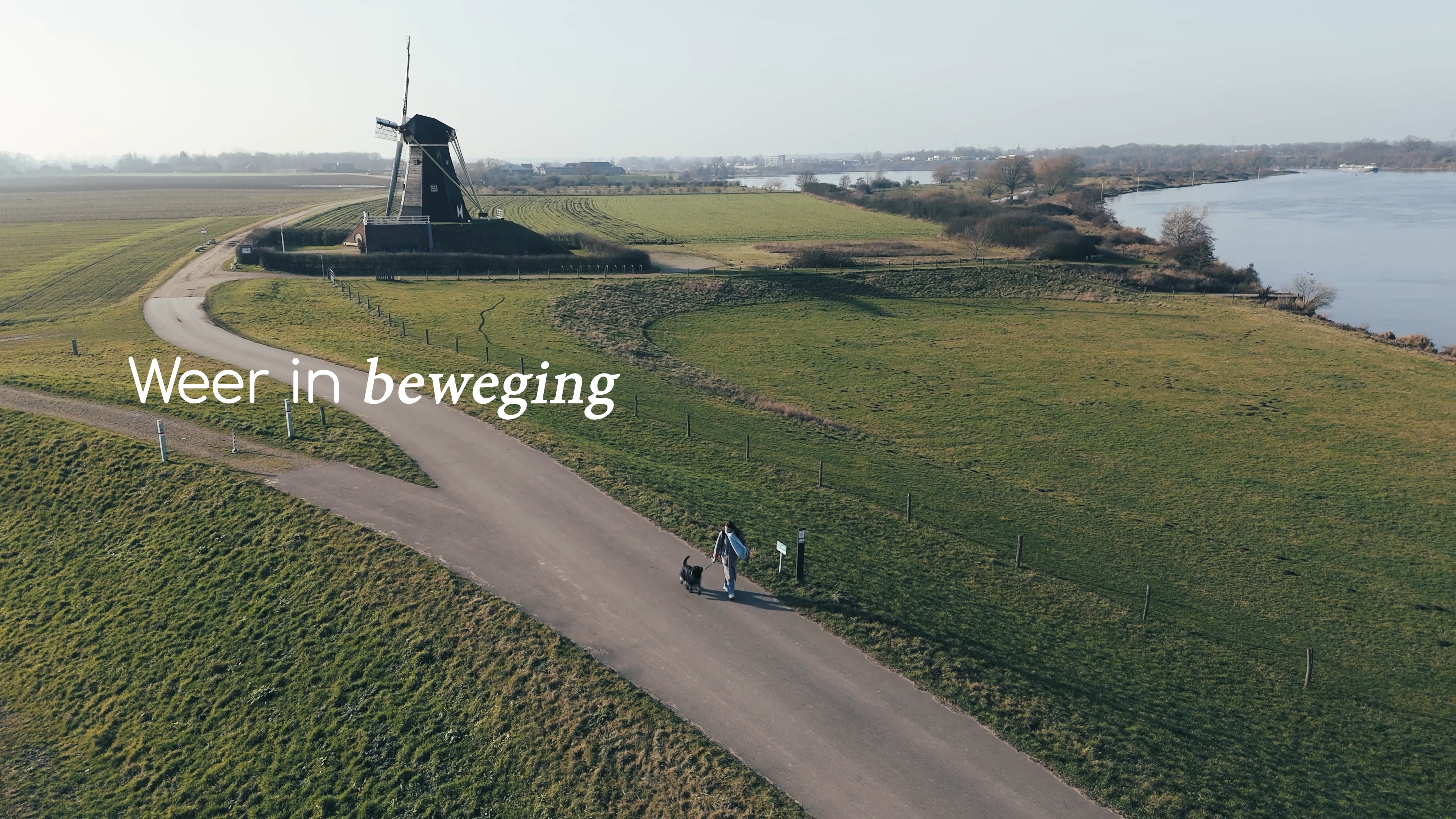 Luchtfoto van een wandelaar met hond op een dijkweg langs de Maas, met een historische windmolen en uitgestrekte velden in Midden-Limburg, met de tekst “Weer in beweging”.