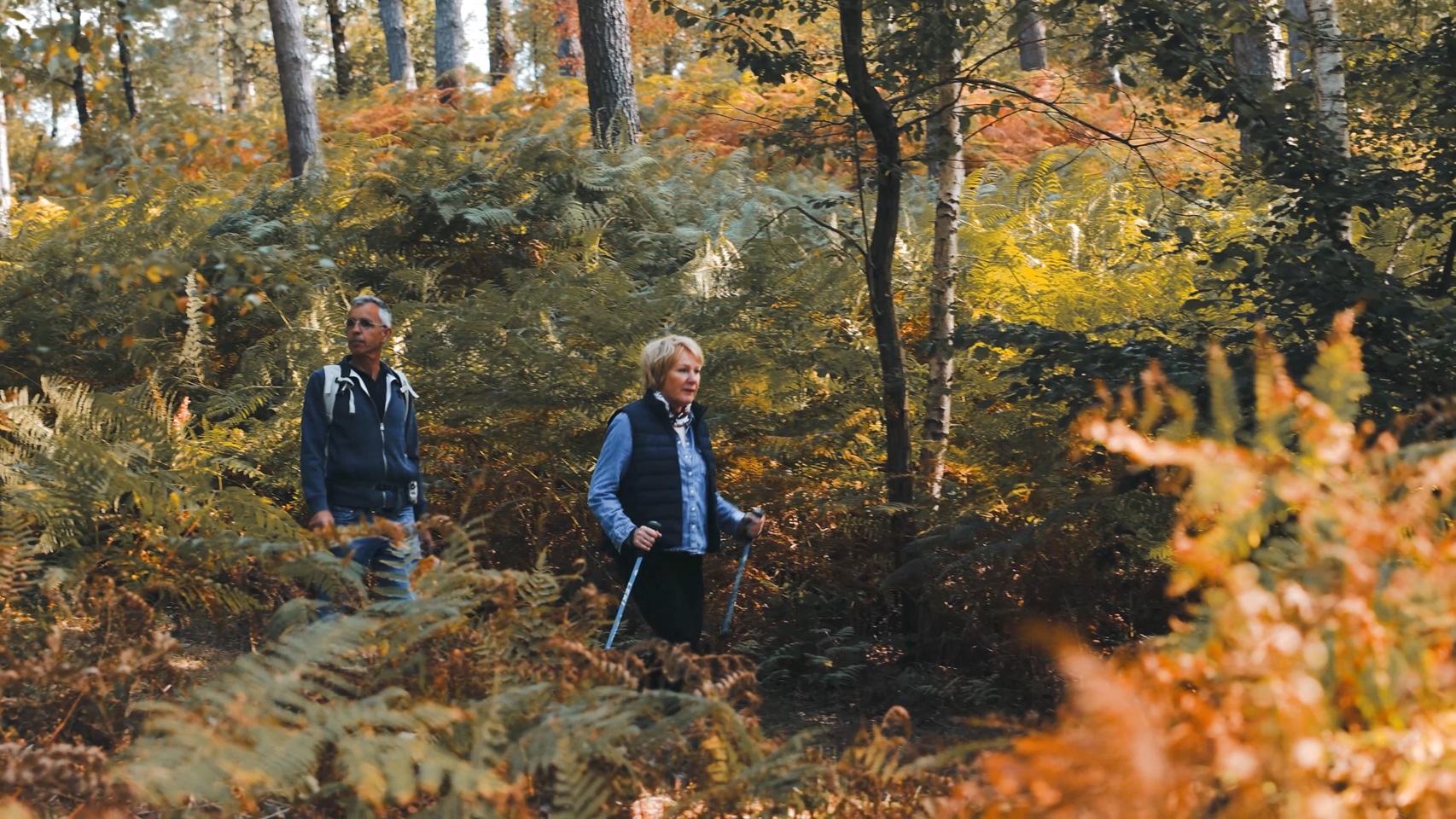 Twee wandelaars lopen met wandelstokken door een bos met varens en herfstkleuren.