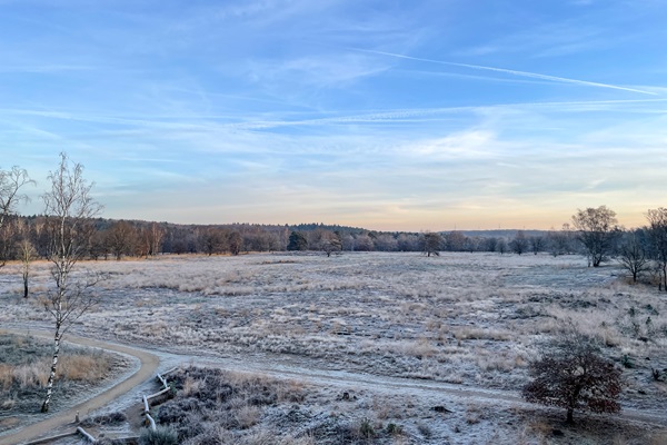 Uitzicht op een ijzige vlakte in Nationaal Park de Meinweg