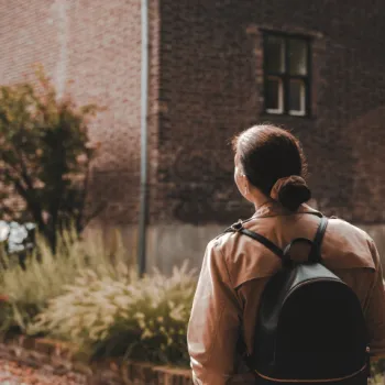 Wandelen in Hart van Limburg 